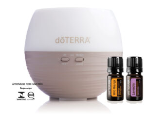 petal-diffuser-with-oils-seal-scaled-1.jpg